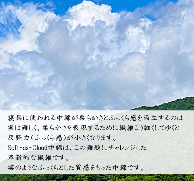 スザキーズ掛け布団の中綿ダクロンSoft-as-Cloudのご紹介です