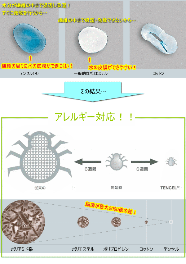 テンセルは清潔素材!